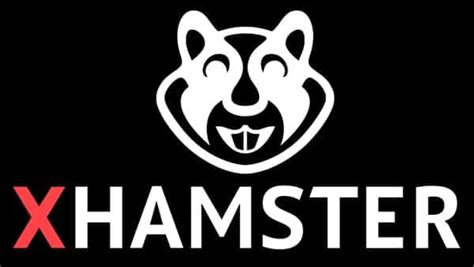 hamster live web|Guide for Models/Studios – xHamsterLive